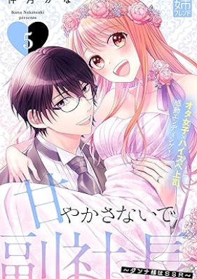 甘やかさないで副社長　～ダンナ様はＳＳＲ～ 第01-05巻