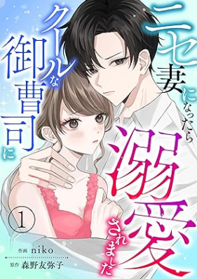 ニセ妻になったらクールな御曹司に溺愛されました【合本版】 第01-02巻