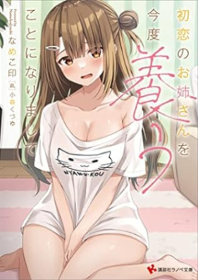 [Novel] 初恋のお姉さんを今度養うことになりまして [Hatsukoi No Oneesan Wo Kondo Yashinau Koto Ni Narimashite]